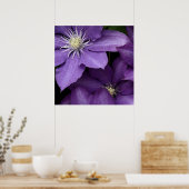 Lila Clematis Poster (Küche)