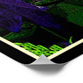 Lila Clematis Poster (Ecke)