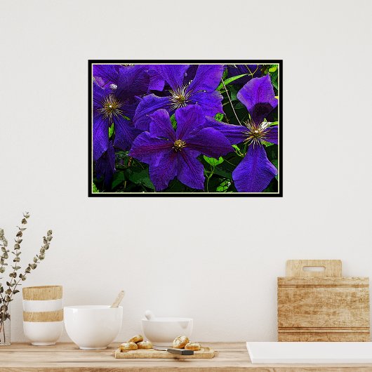 Lila Clematis Poster (Küche)