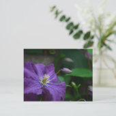 Lila Clematis Postkarte (Stehend Vorderseite)