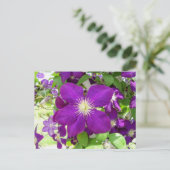 Lila Clematis Postkarte (Stehend Vorderseite)
