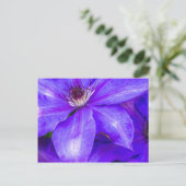 Lila Clematis Postkarte (Stehend Vorderseite)