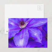 Lila Clematis Postkarte (Vorne/Hinten)