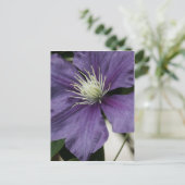 Lila Clematis Postkarte (Stehend Vorderseite)