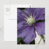 Lila Clematis Postkarte (Vorne/Hinten)