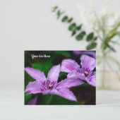 Lila Clematis Postkarte (Stehend Vorderseite)