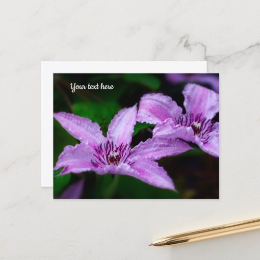 Lila Clematis Postkarte (Vorderseite/Rückseite Beispiel)