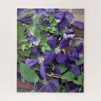 Lila Clematis Puzzle