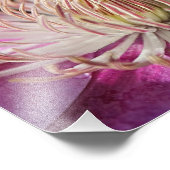 Lila Clematis schließen Fotodruck (Ecke)