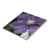 Lila Clematis Tile Fliese (Seite)