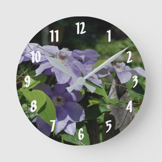Lila Clematitis-Blume auf Zaun Runde Wanduhr (Vorderseite)