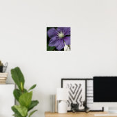 Lila Clematitis Print Poster (Heimbüro)