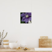 Lila Clematitis Print Poster (Küche)