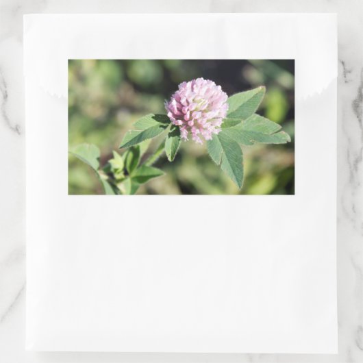 Lila Clover Wildblume Foto Rechteckiger Aufkleber (Tasche)