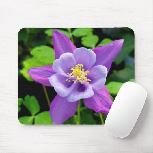 Lila Columbine-Blume Mousepad (Mit Mouse)