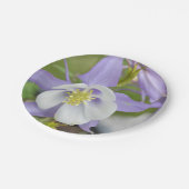 Lila Columbine Pappteller (Schrägansicht)