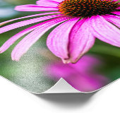 Lila Cone-Blume Fotodruck (Ecke)