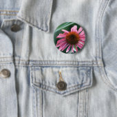 Lila Coneflower Knopf Button (Beispiel)