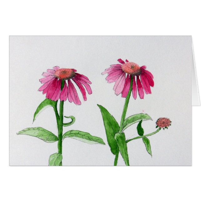 Lila Coneflowers (Vorderseite (Horizontal))