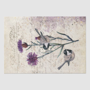 Lila Cornflower Chickadee Bird-Drehbuch Seidenpapier