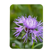 Lila Cornflower Magnet (Vertikal)