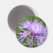 Lila Cornflower Magnet (Vorderseite/Rückseite)
