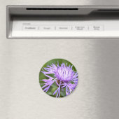 Lila Cornflower Magnet (In Situ (Geschirrspüler))