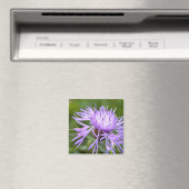 Lila Cornflower Magnet (In Situ (Geschirrspüler))