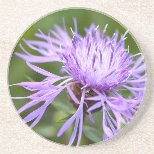 Lila Cornflower Sandstein Untersetzer (Vorne)