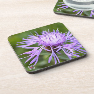 Lila Cornflower Untersetzer
