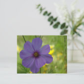 Lila Cosmea Blume DIY Postkarte (Stehend Vorderseite)