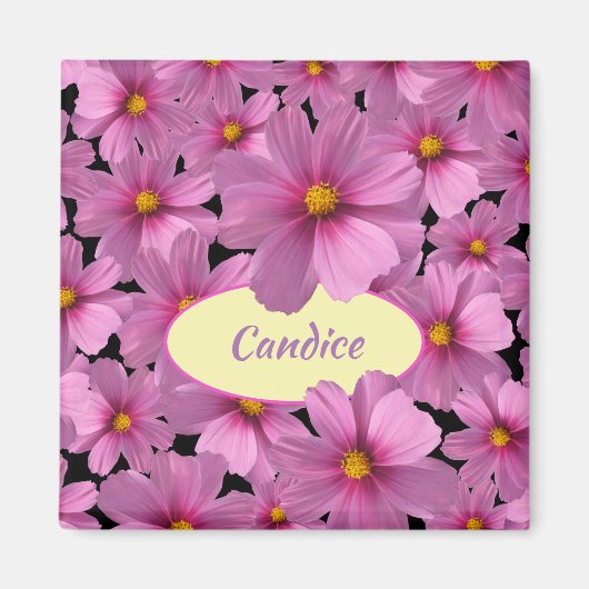 Lila Cosmos-Blume-Design auf schwarzem Hintergrund Magnet (Vorne)