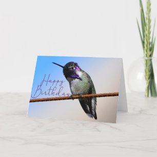 Lila Costa's Hummingbird Foto Geburtstagskarte Dankeskarte
