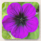 Lila Cranesbill Geranium Floral Getränkeuntersetzer (Vorderseite)