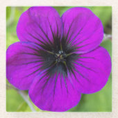Lila Cranesbill Geranium Floral Glasuntersetzer (Vorderseite)