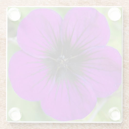 Lila Cranesbill Geranium Floral Glasuntersetzer (Rückseite)