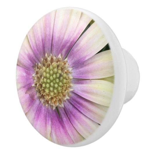 Lila-Creme-Blume Keramikknauf (Rechts)