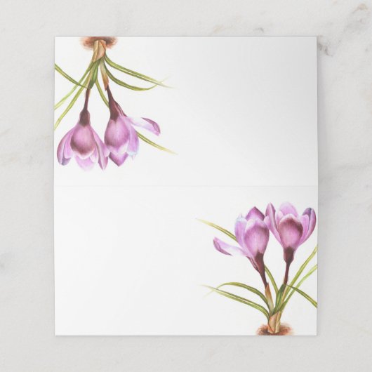 Lila Crocus Aquarellkunst Platzkarten (Außenseite Aufgefaltet)