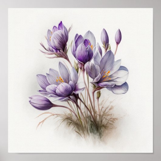 Lila Crocus Blume Art Print Poster (Vorne)