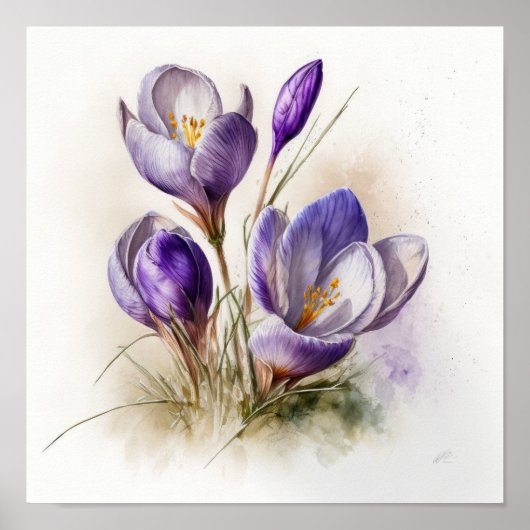 Lila Crocus Blume Art Print Poster (Vorne)