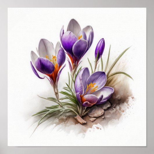 Lila Crocus Blume Art Print Poster (Vorne)