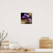 Lila Crocus Blume Art Print Poster (Küche)