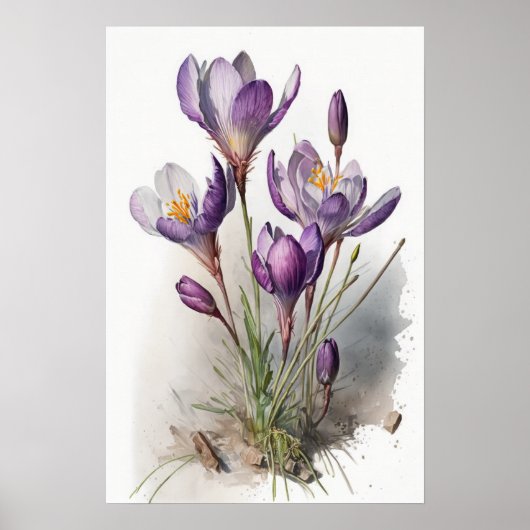 Lila Crocus Blume Art Print Poster (Vorne)