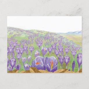Lila Crocus-Blume auf der Frühjahrshügel-Illustrat Feiertagspostkarte
