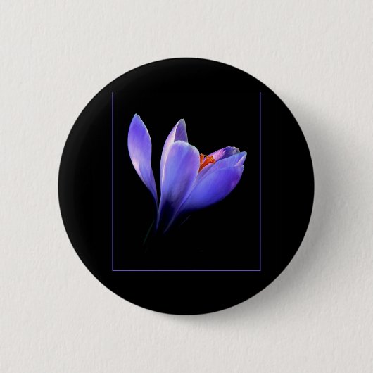 Lila CROCUS-Blume Button (Vorderseite)