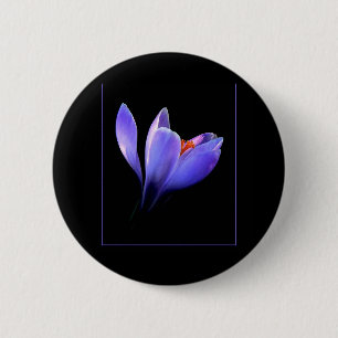 Lila CROCUS-Blume Button