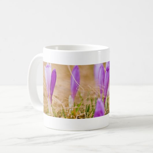 Lila Crocus-Blume im Gras Kaffeetasse (Vorderseite Links)