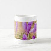 Lila Crocus-Blume im Gras Kaffeetasse (Mittel)