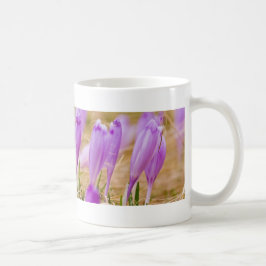 Lila Crocus-Blume im Gras Kaffeetasse