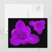 Lila Crocus Blume Postkarte (Vorne/Hinten)